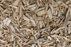 biomass boilers Corstorphine
